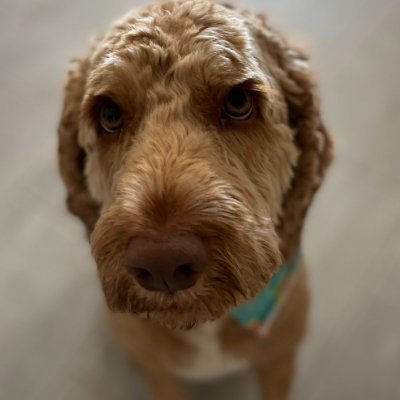 sdomalley's profile picture. 