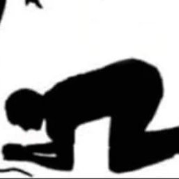 PawlArris's profile picture. 