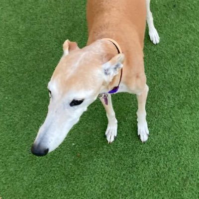 yolanda_marcos's profile picture. DIseño 3d y piezas impresas!