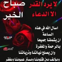 عبد الله الهاشم (@allh_bd2211) 's Twitter Profile Photo عبد الله الهاشم (@allh_bd2211) 's Twitter Profile Photo