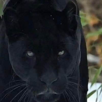 MaxoD06's profile picture. 