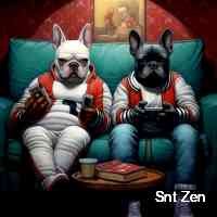 snteenz45's profile picture. Let's search together p2e games, nfts giveaways and exciting news about solana gaming. always use a burner wallet for minting and dyor. solanagaming