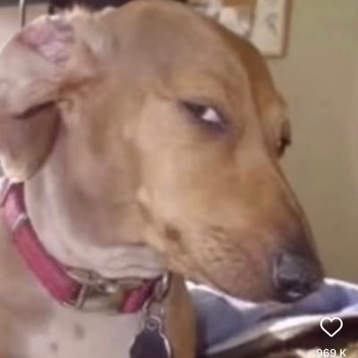 N2O_Seth's profile picture. Es cuadrado en el eje