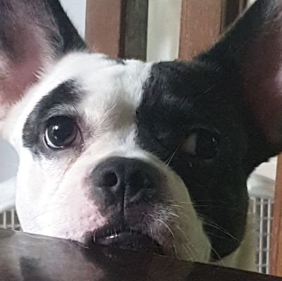 iammpotatoo's profile picture. shhh