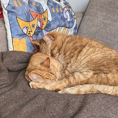 AGMEberharter's profile picture. Mijn persoonlijke selectie van posts en artikelen