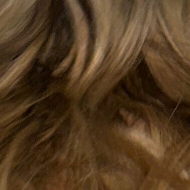 SanjayAdam23436's profile picture. 