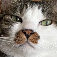 sh39/ゲーム垢🍤 (@sh39ver3) 's Twitter Profile