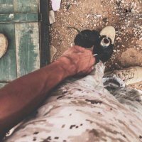 🇸🇩الساموراي الوحيد ㊙ (@mohammed_24999) 's Twitter Profile