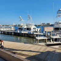 Todd Croy (@tacroy4) 's Twitter Profile