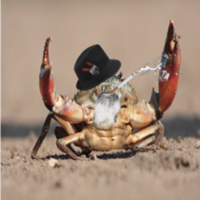 SnoDub489438's profile picture. Here we go again... ROUND 4!!! The final round. Freedom of Speech my ass. Twitter X just keeps getting worse. I can't believe this guys! Also, I take back every