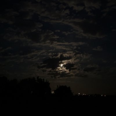 jBTradezz00's profile picture. 