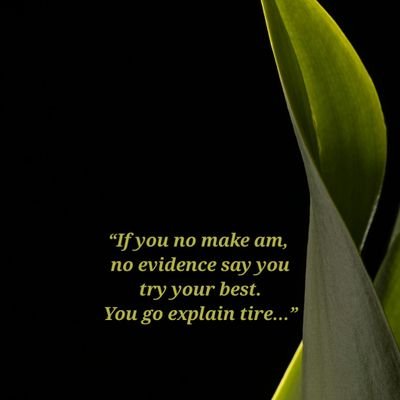 dislife_com's profile picture. comrade in struggle....... saying no tyranny and tyrants |business-hotel and restaurant supplies. Arsenal