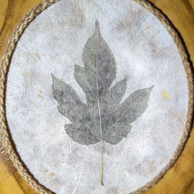 45 years artistic woodworking experience. Heirlooms, keepsakes, creative/artistic/unique woodcrafts. Excited to grow on X.