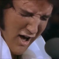 Joey Lund (@malte_sven) 's Twitter Profile Photo