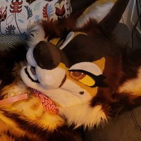 𓃫Raimu✹ (@raimu_wolf) 's Twitter Profile