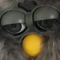 Krista 🦕 (@vuoritapiiri) 's Twitter Profile