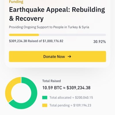 Nft Artist on a project to provide support for the victims of Turkey and Syria Earthquake via binance pay