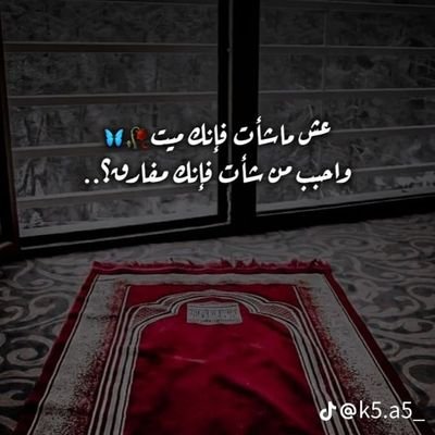 nour_alamodi's profile picture. تفائلوا فإن ضاقت الأرضُ پلأمنيات فسماء ربِ لها أوسع 💙