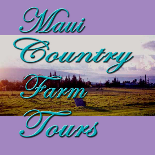 MauiFarmTours's profile picture. Sharing Maui's Agricultural Beauty