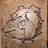 SHSBaseball28's profile image