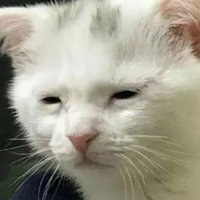 💫✨🌙 Pukpik (@pannamimm) 's Twitter Profile Photo