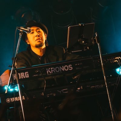 日本古来の琴♫桐木/ 程度良好 河北省制特氏古夷苏木琵琶考级用DJ13X梧桐木琴弦下有余乐器入门进阶