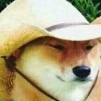 💸💸💸 (@iitsallrisk) 's Twitter Profile