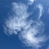 Clean Air in Schools (@cleanairschool) 's Twitter Profile Photo Clean Air in Schools (@cleanairschool) 's Twitter Profile Photo