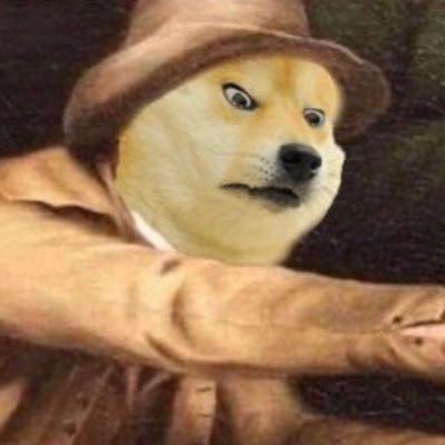 3000Doge