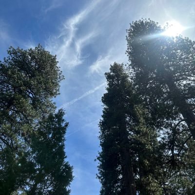 RyanAnd97514649's profile picture. 