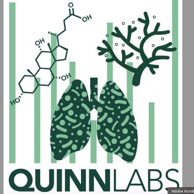 Quinn_Labs Profile Picture