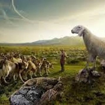 If you have run with footmen and they have wearied you, then how can you contend with horses-Jeremiah 12:5