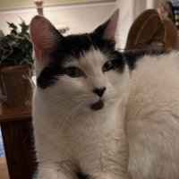 Zig 🙏🇺🇸🐈⬛🦀 (@zig_thefrau) 's Twitter Profile Photo Zig 🙏🇺🇸🐈⬛🦀 (@zig_thefrau) 's Twitter Profile Photo