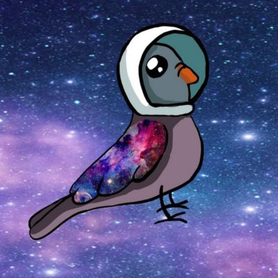 pigeon__s Profile Picture