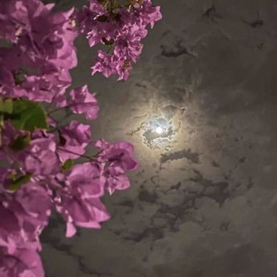 UrwahM2's profile picture. 