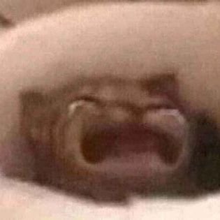 toanngu82534152's profile picture. Tune