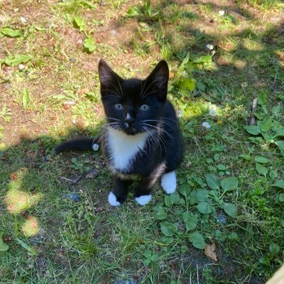 3DForrest's profile picture. 