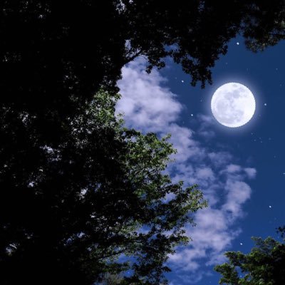 fabricio_21x's profile picture. 