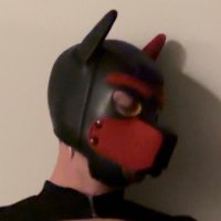 Pup_Twiggy(@Pup_twigg) 's Twitter Profile Photo