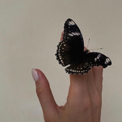 ما بين ضالِ المُنحنى وظِلاله