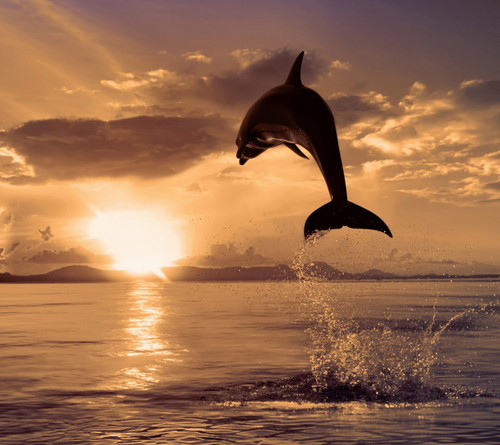 CarlosvH1's profile picture. 