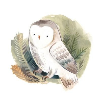 𝘊𝘢𝘴𝘴𝘺𝘖𝘸𝘭🦉さんのプロフィール画像