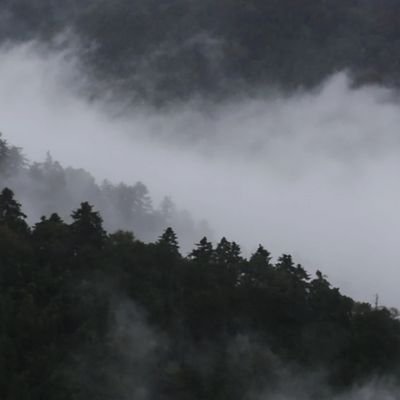 Elpepxd2119's profile picture. HOLA