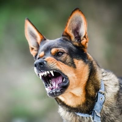 INSANE_POSTER68's profile picture. I support: Trump, MAGA, 🇺🇸 🇷🇺 🇦🇷 🇮🇱 🇯🇵
I don't support: 🇺🇦 🇮🇷 🇵🇸 🇾🇪 🇻🇪 🇨🇳 🇺🇳 🇪🇺 🏳️‍🌈 🏳️‍⚧️