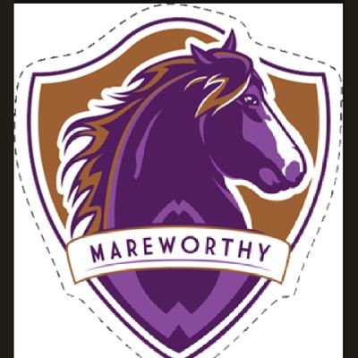 Mareworthy Charities is a 501c3 charity dedicated to the well-being and protection of Thoroughbred mares whose racing and breeding careers have come to an end.