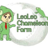 レオレオ@九レプ代表 (@leoleocf) 's Twitter Profile Photo レオレオ@九レプ代表 (@leoleocf) 's Twitter Profile Photo