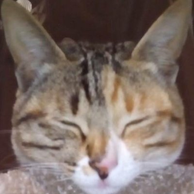 tes5515's profile picture. 