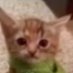 6z (@6z3728770596130) Twitter profile photo 6z (@6z3728770596130) Twitter profile photo