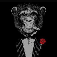 دُرة (@qls_ll) 's Twitter Profile