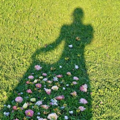 Sbnelbn's profile picture. 